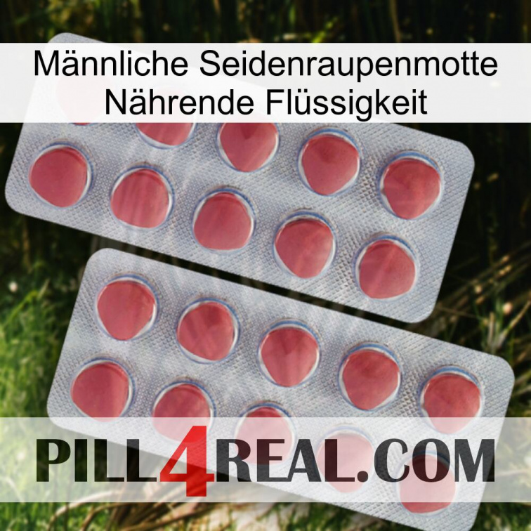 Männliche Seidenraupenmotte Nährende Flüssigkeit 19